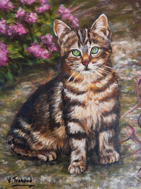 Chaton Tigr et Hortensia - Virginie Trabaud Artiste Peintre Animalier