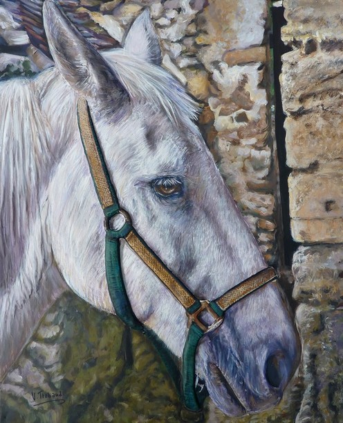 Peinture Portrait de cheval blanc - acrylique et sculpture au mortier en relief 3D - virginie Trabaud