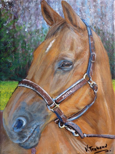 Portrait cheval cuivré portrait peinture acrylique - virginie TRABAUD Artiste Peintre