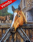 peinture chevaux et portrait de cheval - virginie trabaud artiste peintre