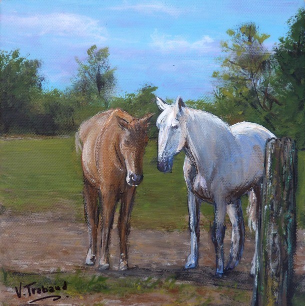 peinture chevaux blanc et roux oise - Virginie Trabaud artiste peintre