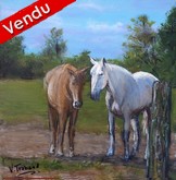 Peinture chevaux roux et blanc - tableau acrylique sur toile - virginie trabaud