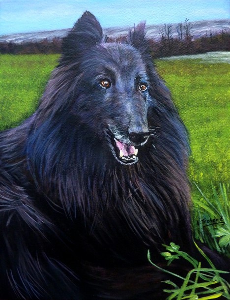 peinture de chien berger belge groenendael noir d'aprs photo - acrylique virginie trabaud