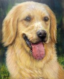 Peinture en Relief 3D - - Portrait de Golden Retriever - Cliquez sur l'image pour voir la fiche et l'agrandissement