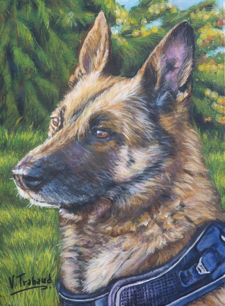 peinture de chienne berger malinois d'aprs photo - acrylique virginie trabaud