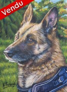 Portrait de Chienne berger malinois - Peinture acrylique d'aprs photo - Virginie Trabaud Artiste Peintre