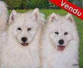 Peinture portrait de chiens samoyède d'après photo - Virginie Trabaud Artiste Peintre