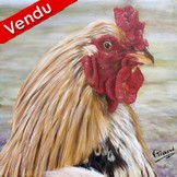 Peinture Portrait de Coq - acrylique - Virginie Trabaud Artiste Peintre