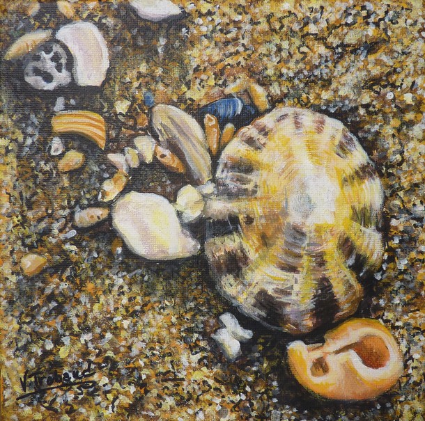 Peinture Coquillages et Bernique sur le sable - Acrylique Virginie TRABAUD Artiste Peintre