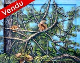 peinture écureuil dans un arbre - Cliquez sur l image pour voir la fiche détaillée et consulter le tarif de l oeuvre