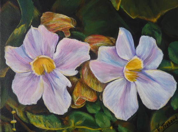 Peinture de Fleurs thunbergia laurifolia - Virginie Trabaud Artiste Peintre