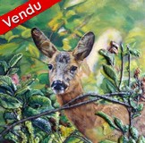 Peinture Portrait de Biche - Artiste peintre animalier Virginie Trabaud