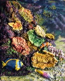 peinture le monde sous marin en relief  - Cliquez sur l image pour voir la fiche détaillée et consulter le tarif de l oeuvre