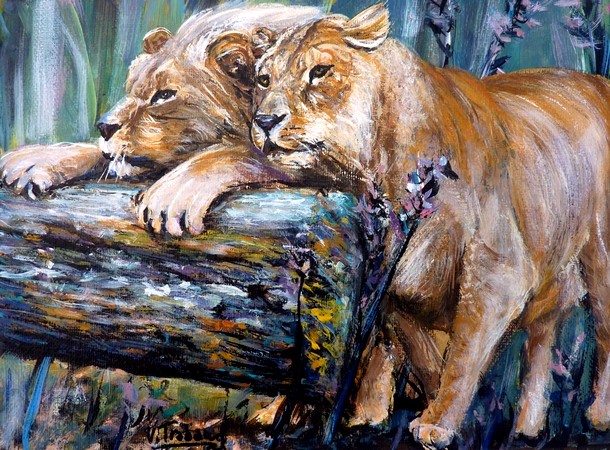 peinture lion et lionne - Virginie Trabaud artiste peintre
