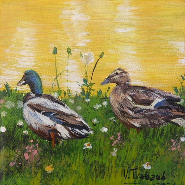 peinture canard colvert et cane au bord de l'eau - Virginie trabaud artiste peintre
