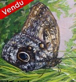 Peinture acrylique miniature - Papillon - Cliquez sur l image pour voir la fiche détaillée et consulter le tarif de l oeuvre