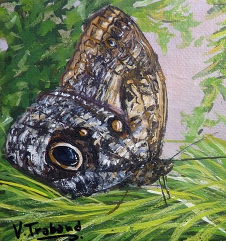 Peinture de  Papillon morpho - virginie trabaud artiste peintre