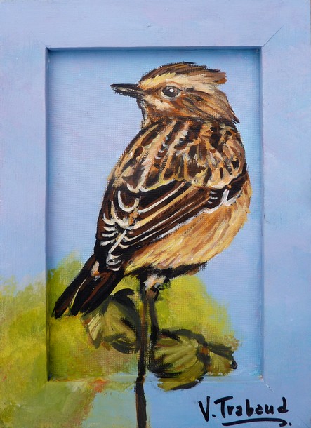 Peinture oiseau Pinson du Nord - Acrylique - Virginie TRABAUD Artiste peintre