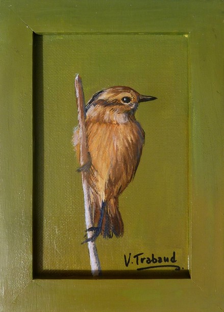 Peinture Tarier pâtre femelle oiseau - acrylique Virginie TRABAUD Artiste Peintre Copyright