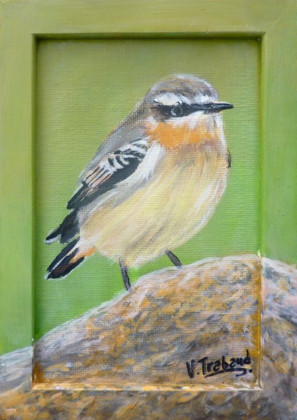 Peinture acrylique Oiseau Traquet motteux male - Virginie TRABAUD Artiste Peintre