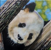 Peinture Portrait de panda- Acrylique - virginie Trabaud Artiste Peintre