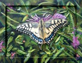 peinture papillon coloré dans le jardin - Cliquez sur l image pour voir la fiche détaillée et consulter le tarif de l oeuvre