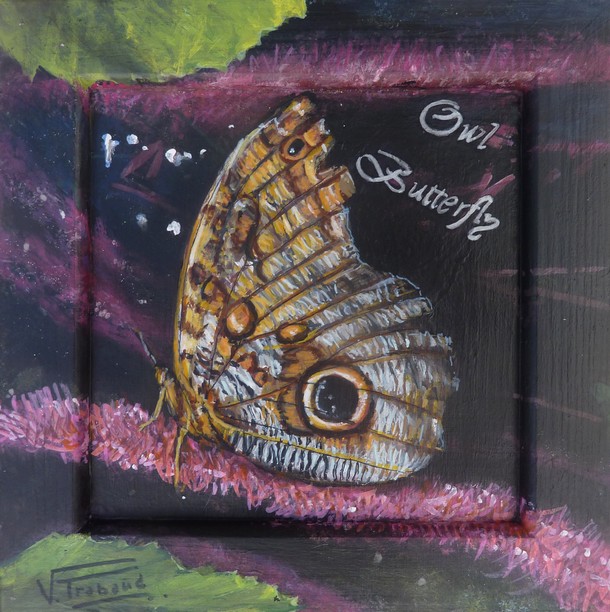Peinture papillon hibou sur bois acrylique - virginie trabaud artiste peintre