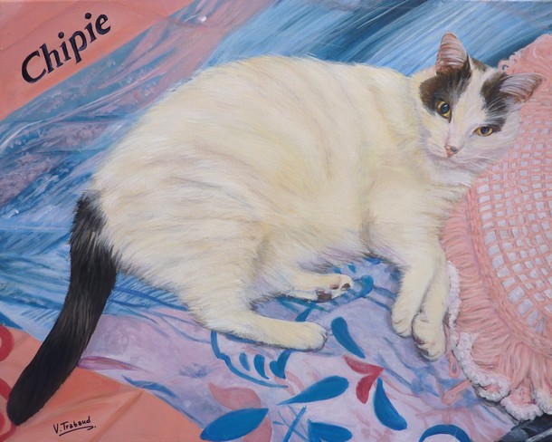 Peinture de Chat blanc couché sur un coussin - Virginie Trabaud Artiste Peintre