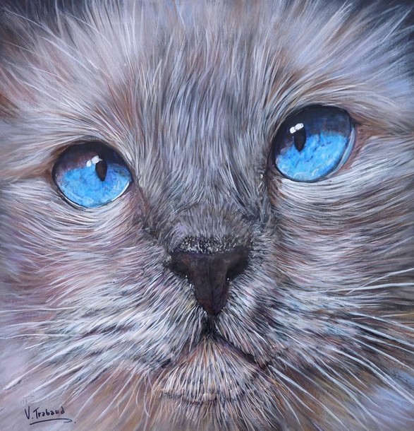Peinture en Relief 3D - Portrait chat sacré de birmanie yeux bleus - Virginie Trabaud