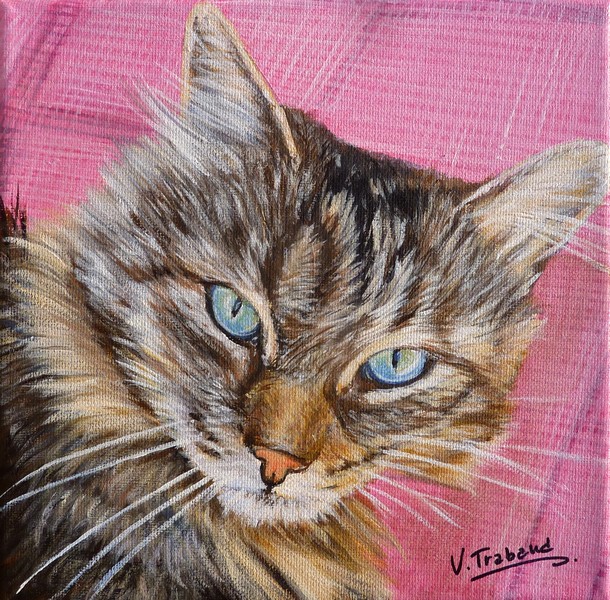 Peinture Portrait de chat maine coon couché d'après photo - acrylique - Virginie TRABAUD