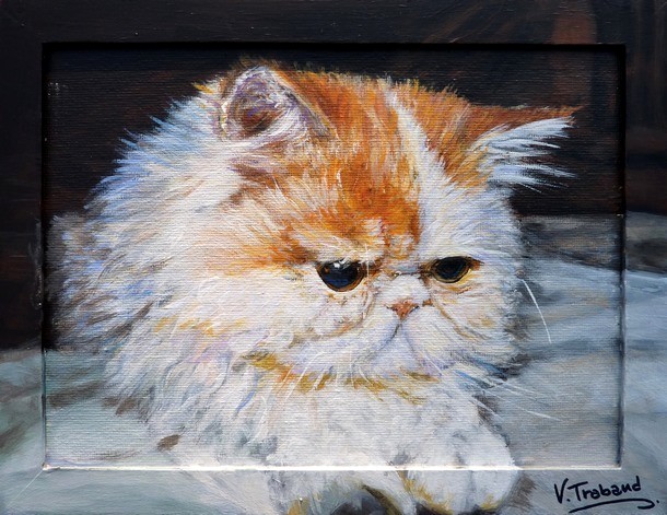 Peinture portrait de chat persan blanc et roux d'après photos - acrylique virginie trabaud