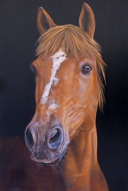 Peinture portrait de cheval brun d'après photo - Acrylique - Virginie Trabaud