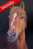 Portrait de cheval brun peinture acyrlique - Cliquez sur l image pour voir la fiche détaillée détaillée et consulter le tarif de l oeuvre