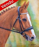 Portrait de cheval roux avec tache blanche peinture acyrlique - Cliquez sur l image pour voir la fiche détaillée détaillée et consulter le tarif de l oeuvre