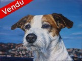 Peinture acrylique - Portrait de chien au bord de la mer - Cliquez sur l'image pour voir la fiche et l'agrandissement