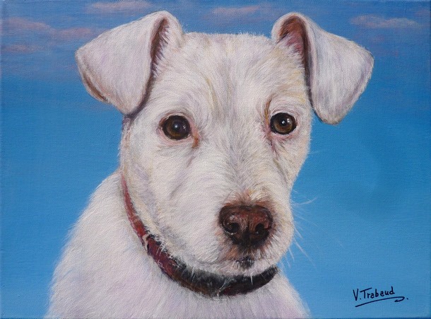 Peinture portrait de chien blanc d'après photo - acrylique - virginie Trabaud