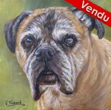 Peinture acrylique - Portrait de Boxer chien - Cliquez sur l'image pour voir la fiche et l'agrandissement