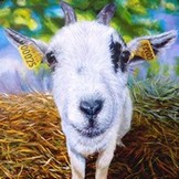 Peinture en Relief 3D - Portrait de chèvre - Cliquez sur l'image pour voir la fiche et l'agrandissement