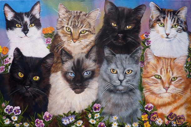 peinture Portraits de 8 chats noirs siamois européens - Cliquez sur l image pour voir la fiche détaillée