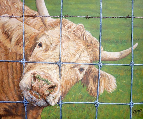 peinture portrait vache - virginie trabaud artiste peintre