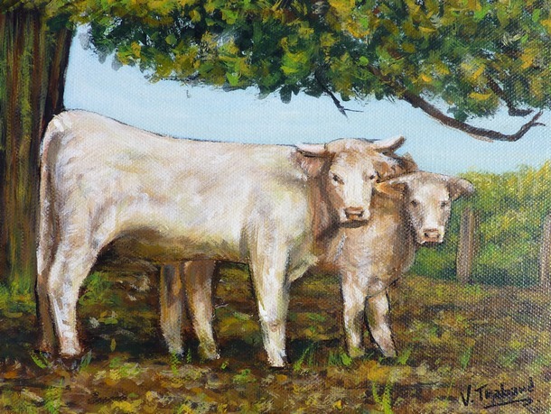 Peinture les Vaches Blanches - Virginie Trabaud Artiste Peintre